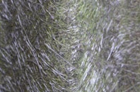 Hararden fibreglass roof work